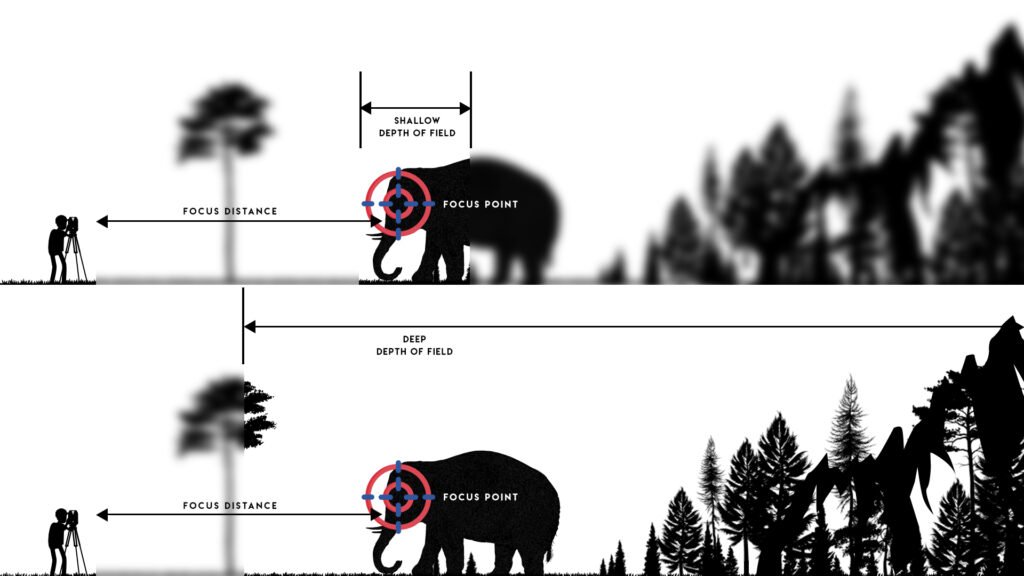 Image ENG Depth of Field